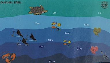 Kahanbu Faru